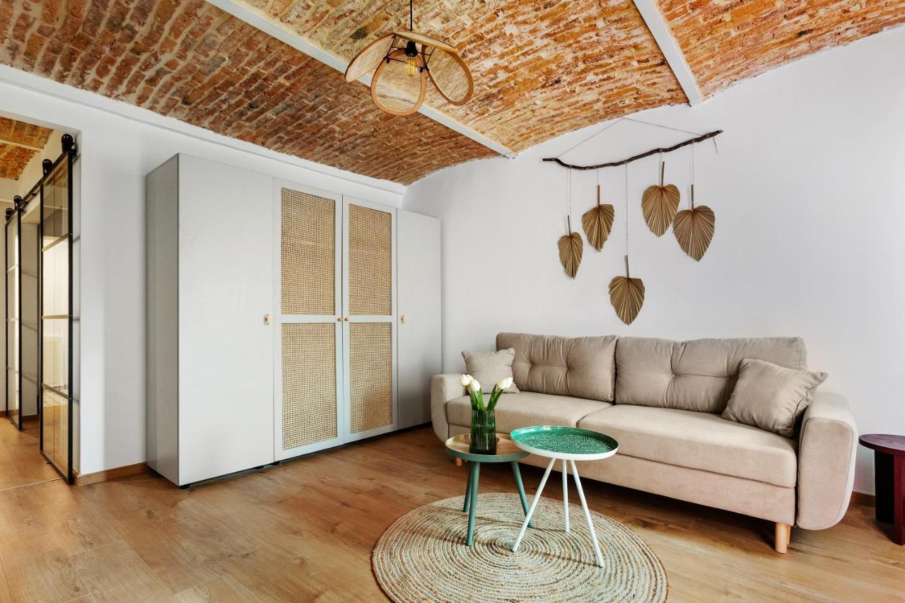 Roua Ludica Apartments براشوف المظهر الخارجي الصورة