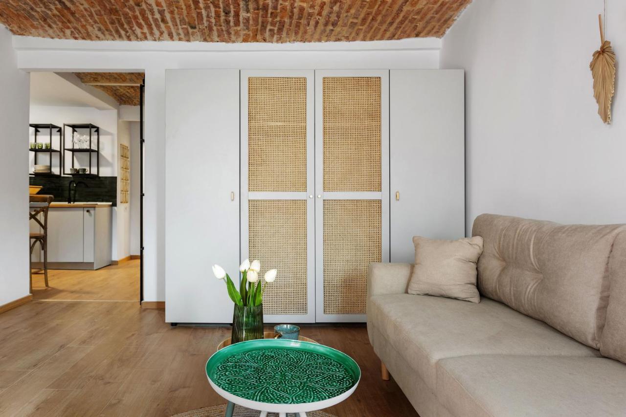 Roua Ludica Apartments براشوف المظهر الخارجي الصورة
